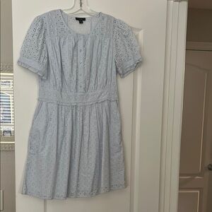 J. Crew Blue Puff Sleeve Dress